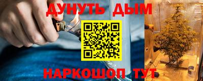 сатива Кулебаки