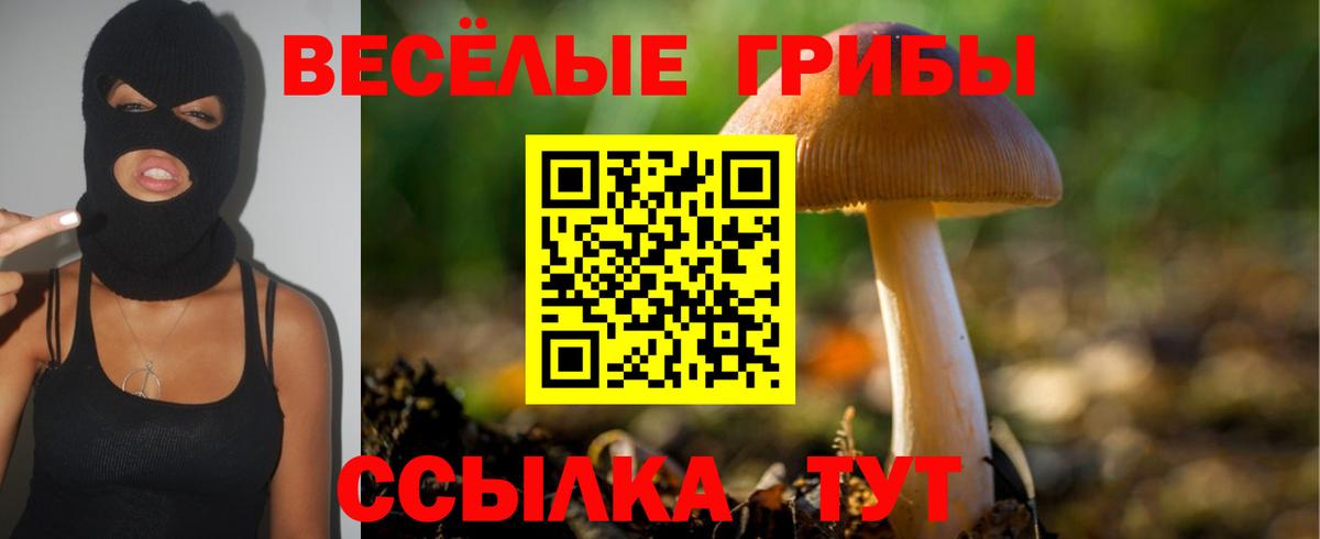 Галлюциногенные грибы прущие грибы Канаш